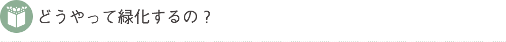 どうやって緑化するの?